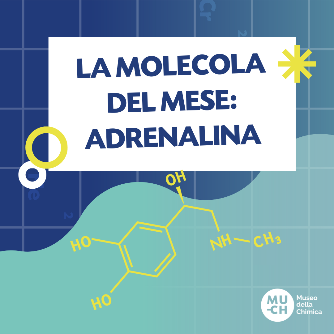 La molecola del mese: Adrenalina