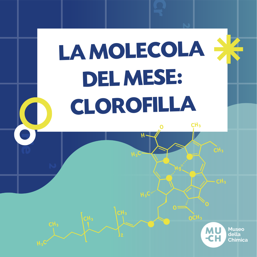 La molecola del mese: Clorofilla