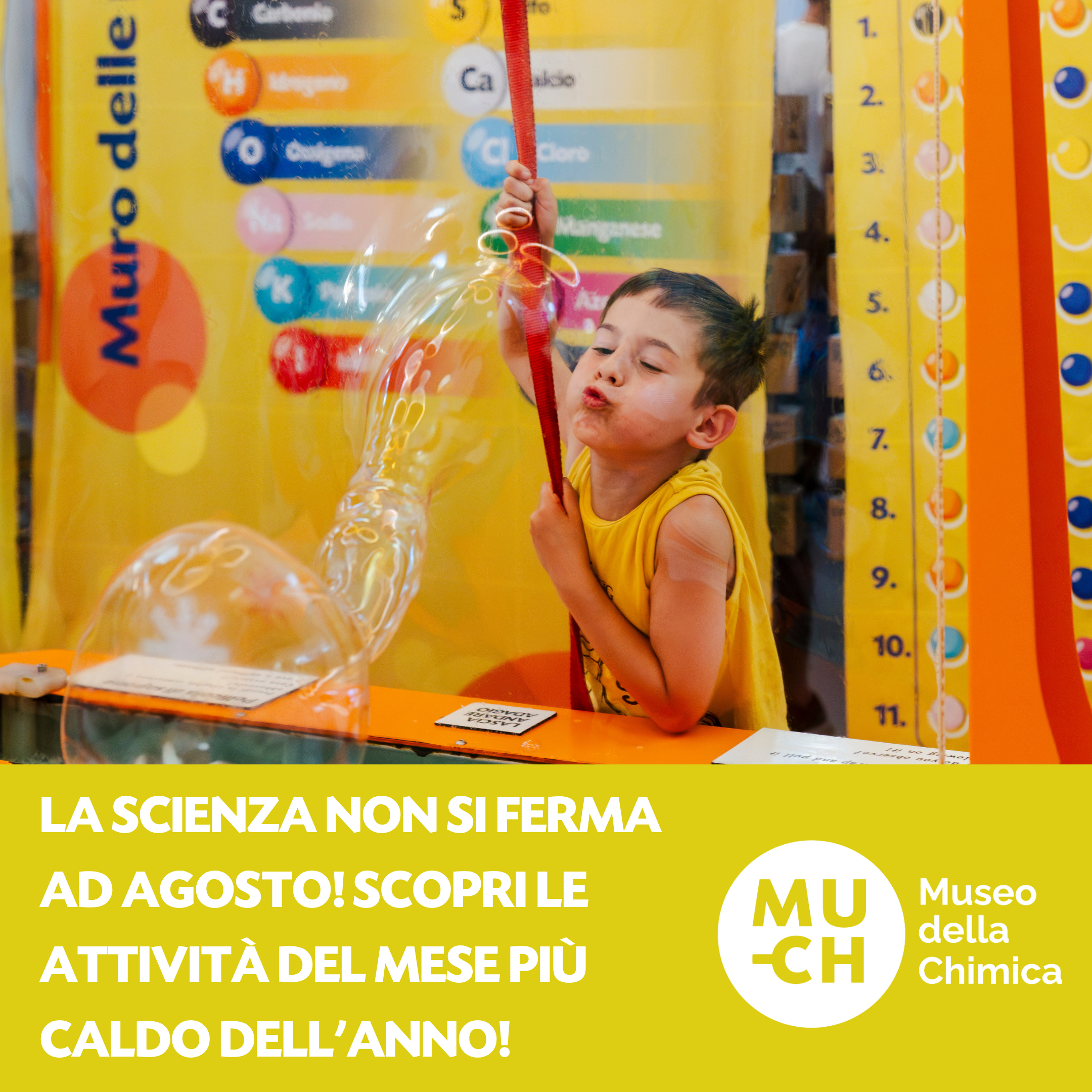 Scopri il programma di agosto