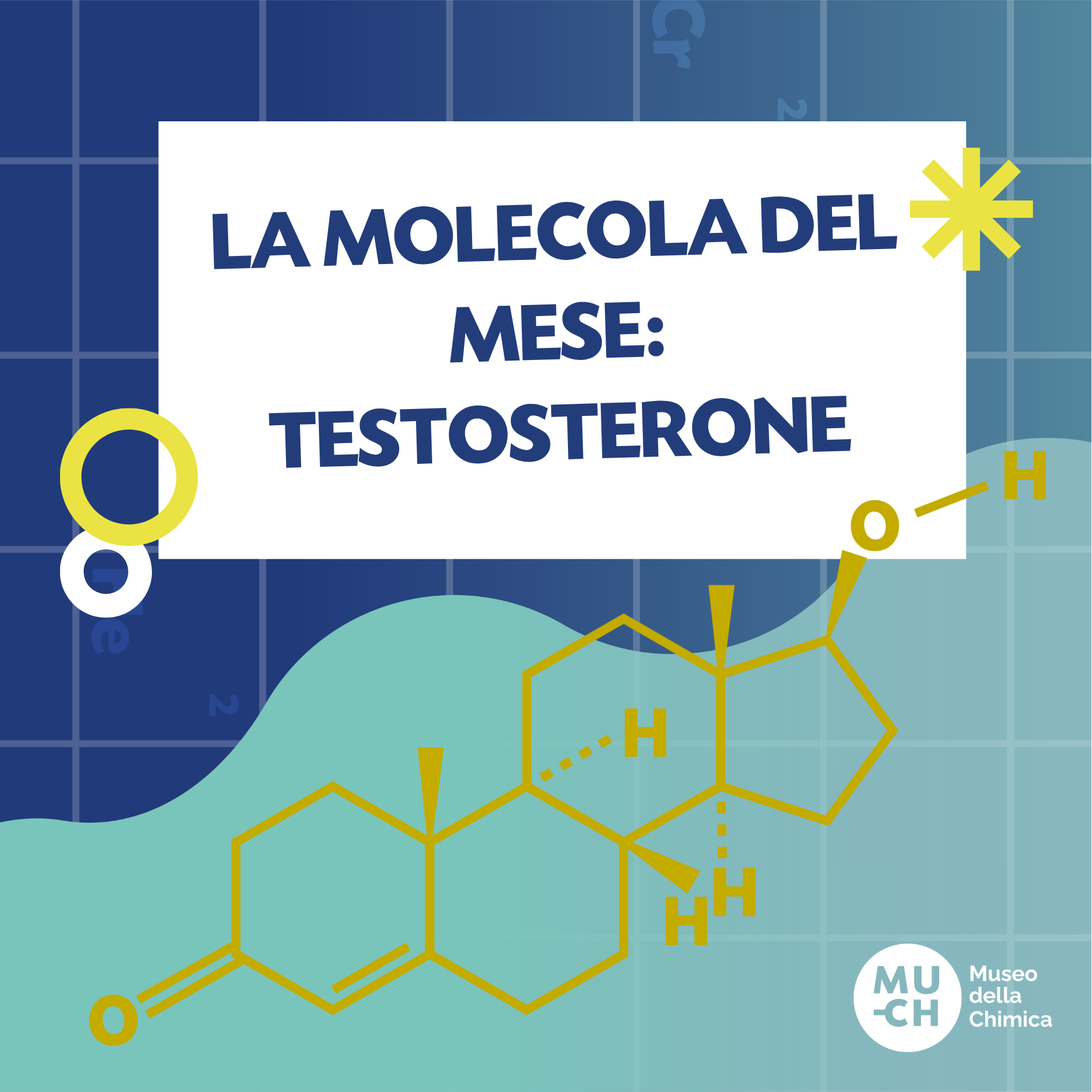La molecola del mese: testosterone